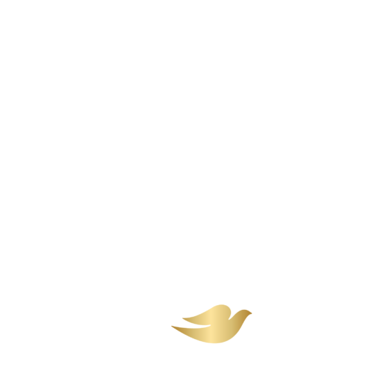 Baby Dove